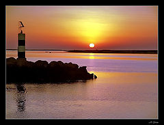 photo "New Summer day"