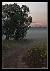 photo "Untitled photo"