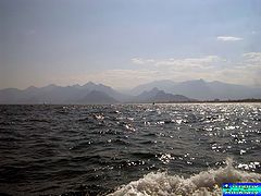 photo "See"