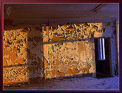 фото "the map of treasures"