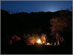 photo "The night"