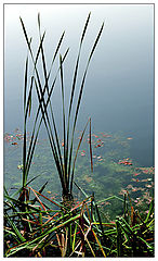 фото "..."