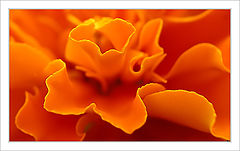 photo "Untitled photo"