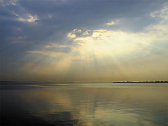photo "Morning Color"