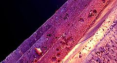 фото "abstract"