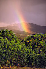 фото "Rainbow in the Cairngorms"