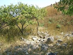 photo "Ancient stones"