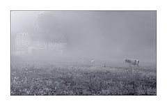 фото "..."