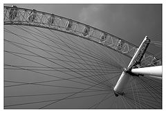 фото "..."