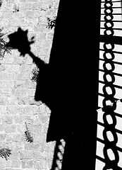 photo "Shadow graphics"