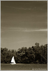 photo "Boat on the Rhine"