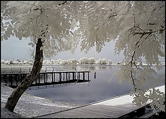 photo "After season"