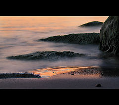 фото "T1"