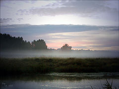 photo "Fog"