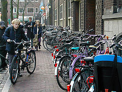 photo "Parking lot"
