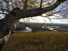 photo "silence"