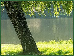 photo "Water"