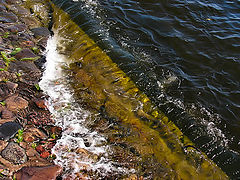 фото "Невская водичка..."