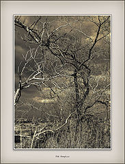 photo "Old Graphics"