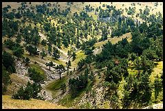 photo "On the plateau"