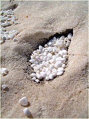 фото "white marble"
