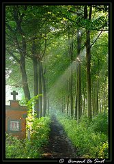 photo "Green and footpath"