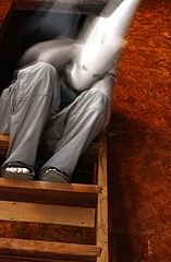 фото "The Fool"