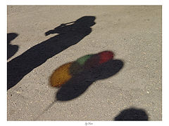 photo "Color Shadows"