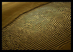 photo "Gold sand"