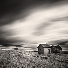 фото "The open space II"