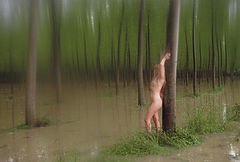 фото "Marsh"