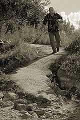 photo "Where am I being carried to?"