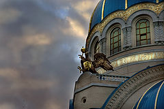 фото "Eagle"