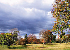 фото "Color of Fall"