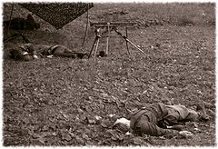 photo "war.."