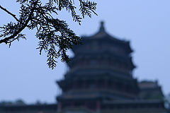photo "china series"