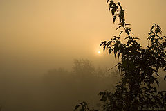 фото "рассвет: Япония в Сибири"