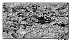 photo "Guessing on pistachioes"