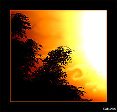 photo "..."