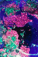 photo "GALAXY"