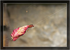 фото "time and space"