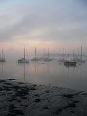 фото "Misty Morning (2)"