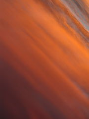 photo "All colours of the sky."