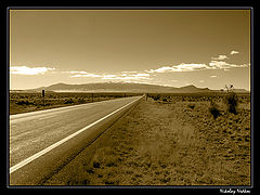 photo "Untitled photo"