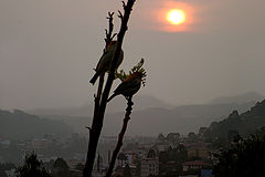 фото "Sunset in Videira"