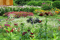 фото "Ириновый сад"