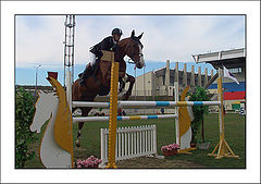 photo "equestrian"