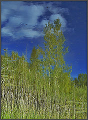 photo "Summer water-color #1"