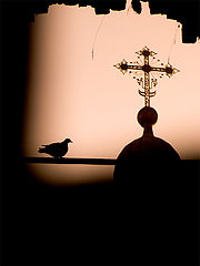 фото "Когда нет сил летать - дойти бы до креста..."