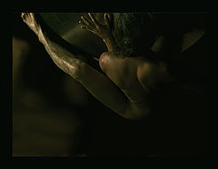 photo "* * *"